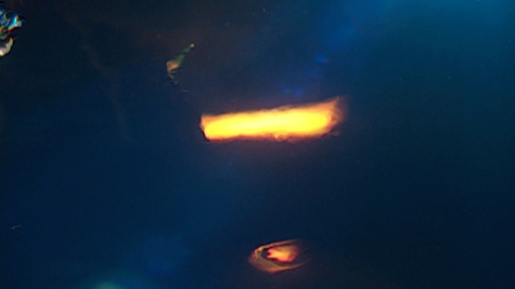 A Phrase from "Illumination" (2011)