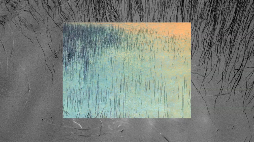 Incrementum Window - Reed Field 1