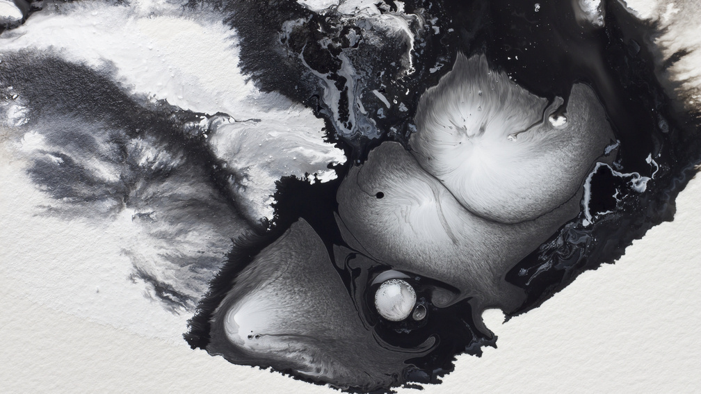 Umwelt - Manifest 14