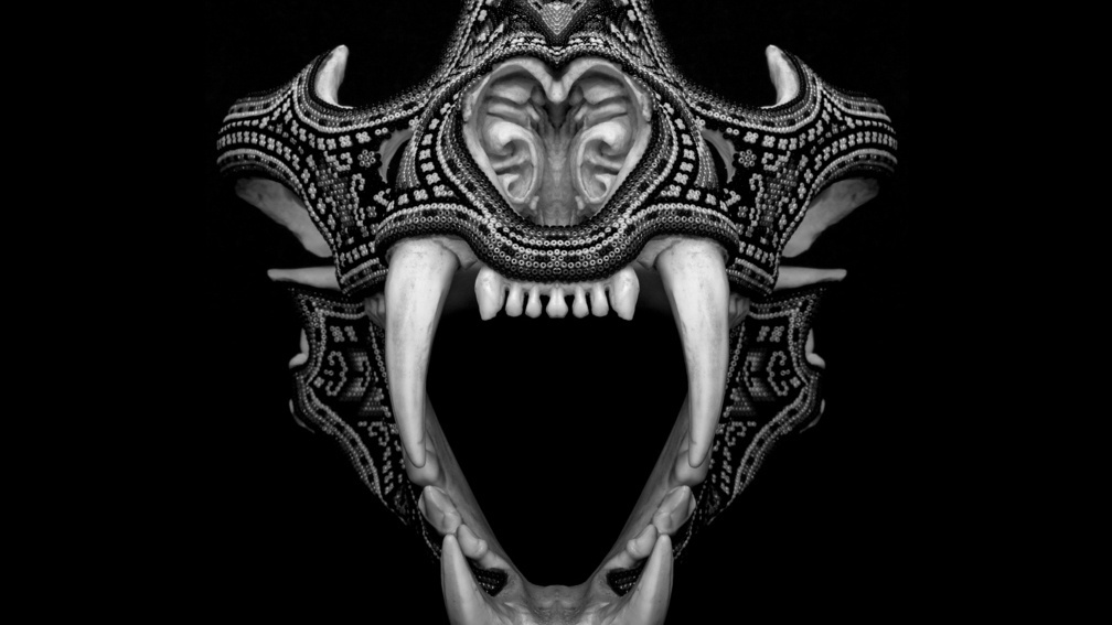 The Tigers New Stripes B&W