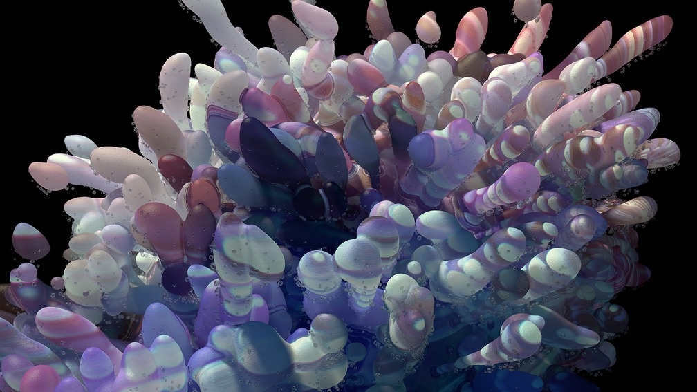 Forays: Object III - Somasexual