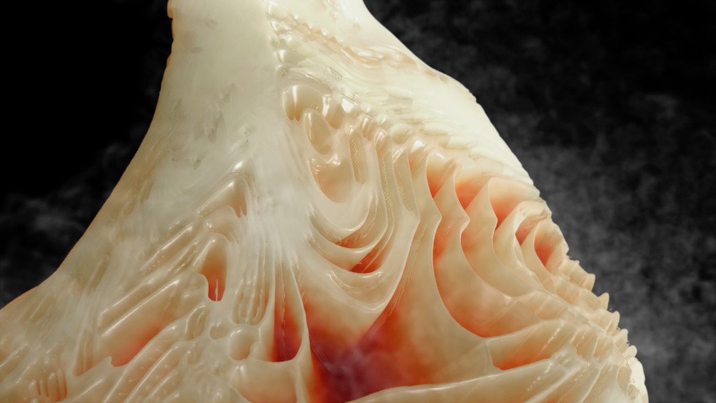 Forays: Scan II - Thermoception