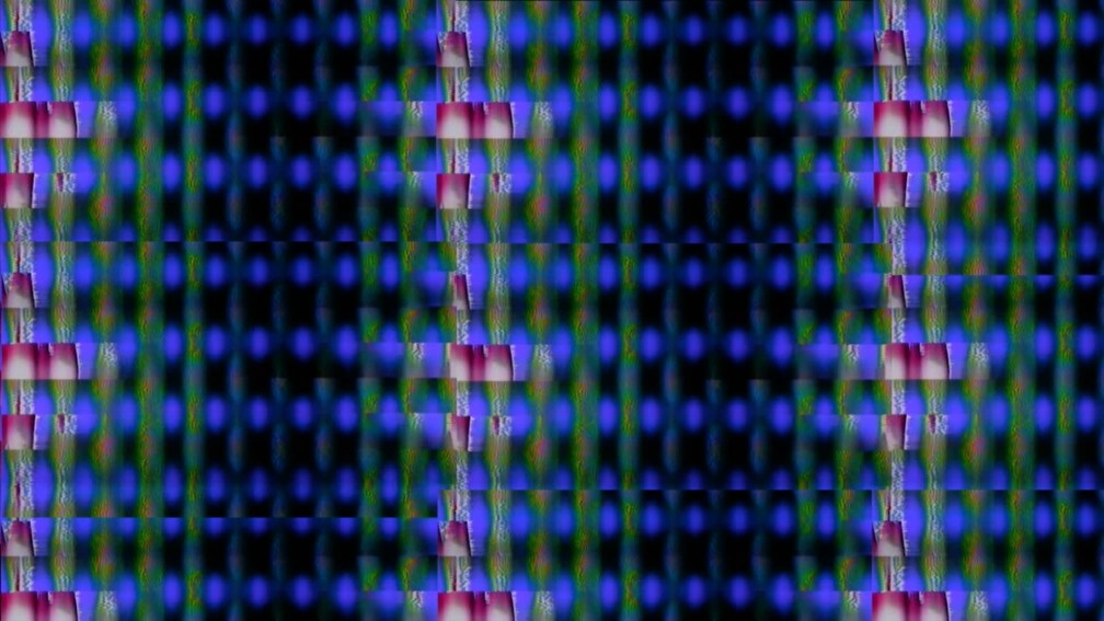 Night Shades Time Glades