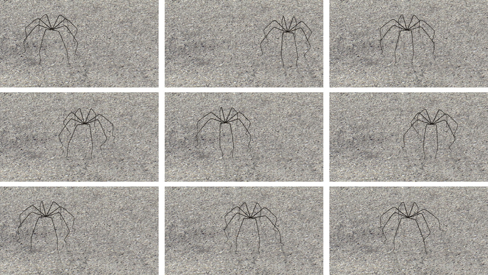 Pure Movement 1, environment 1.2