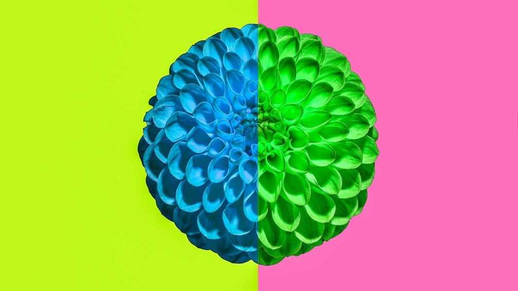 Electric Wallpaper #1 Meditative (60 seconds)