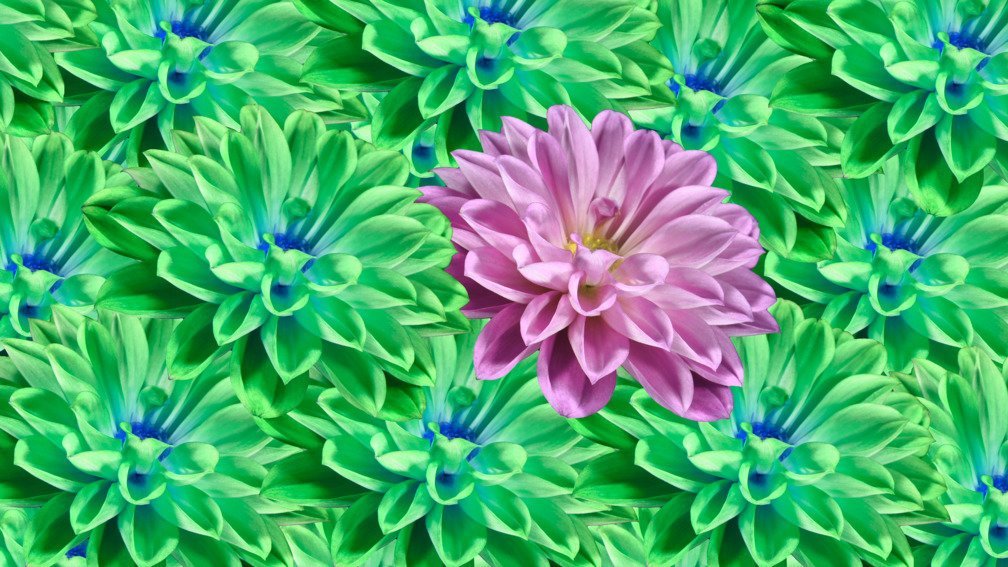 Electric Wallpaper #2 Meditative (60 seconds)