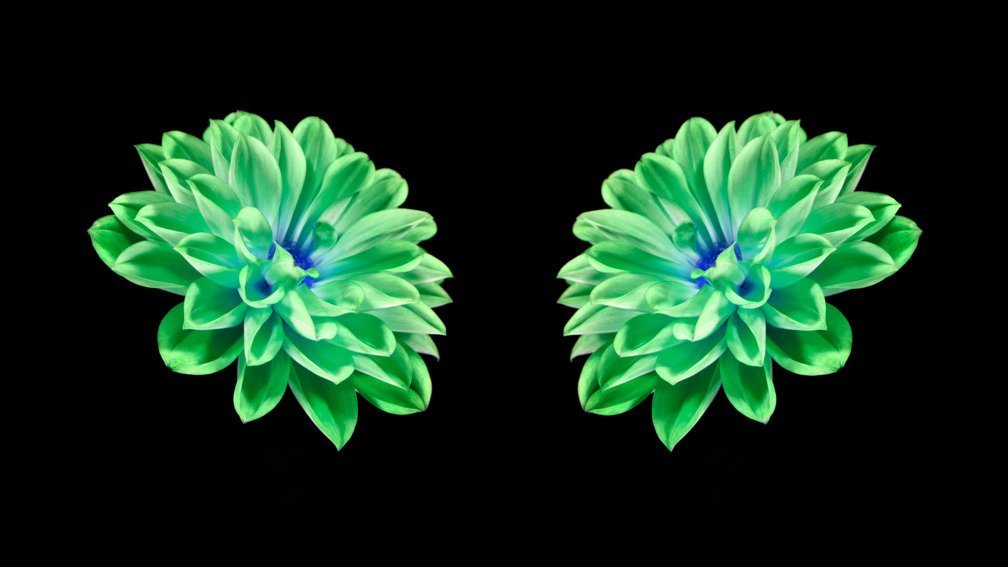 Electric Wallpaper #3 Meditative (60 seconds)