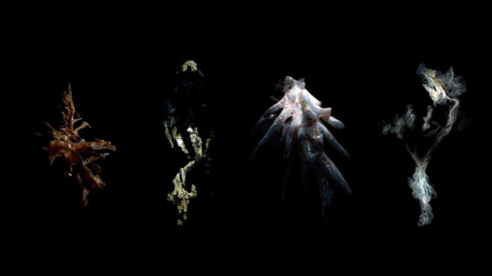 The Deep Scattering Layer