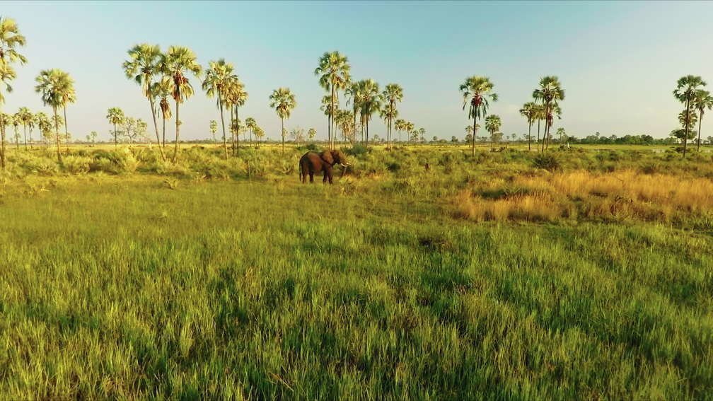 Okavango Delta, Botswana IV