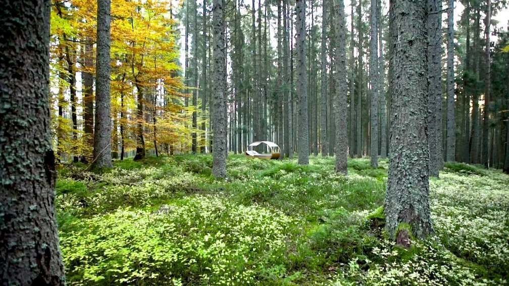 Black Forest, Germany