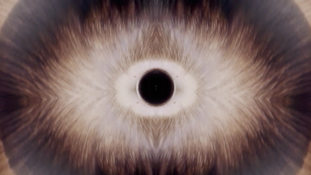 Lost Colours In The War. Part 5