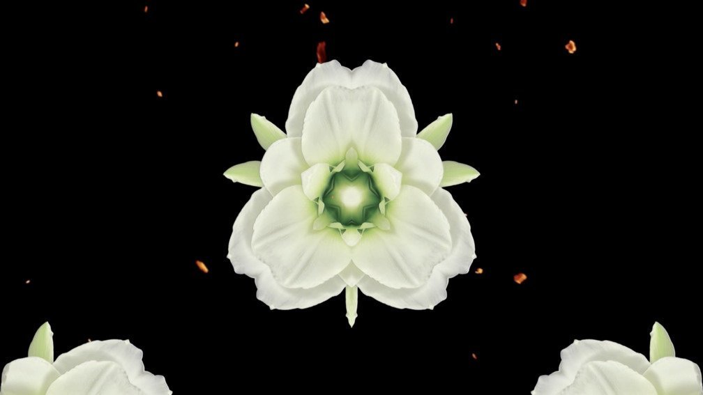 Lost Colours In The War. Part 18