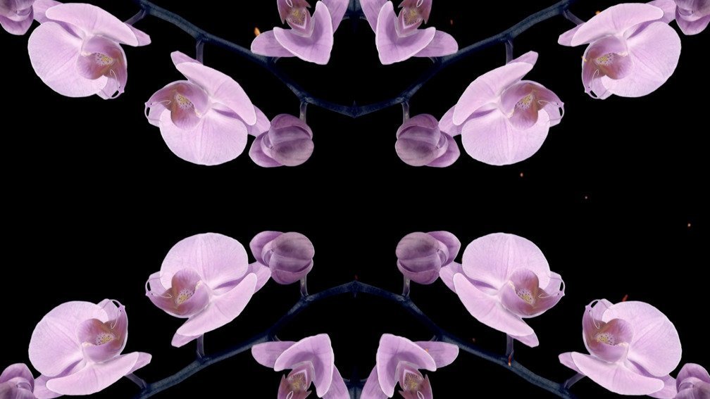 Lost Colours In The War. Part 19