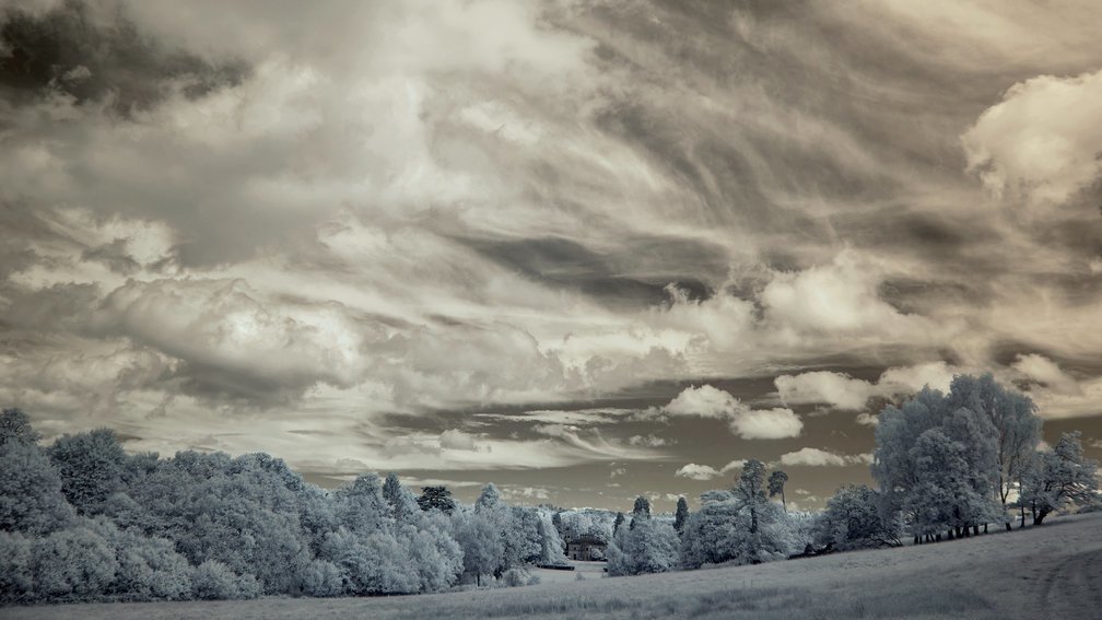 Ashdown Forest, England 3