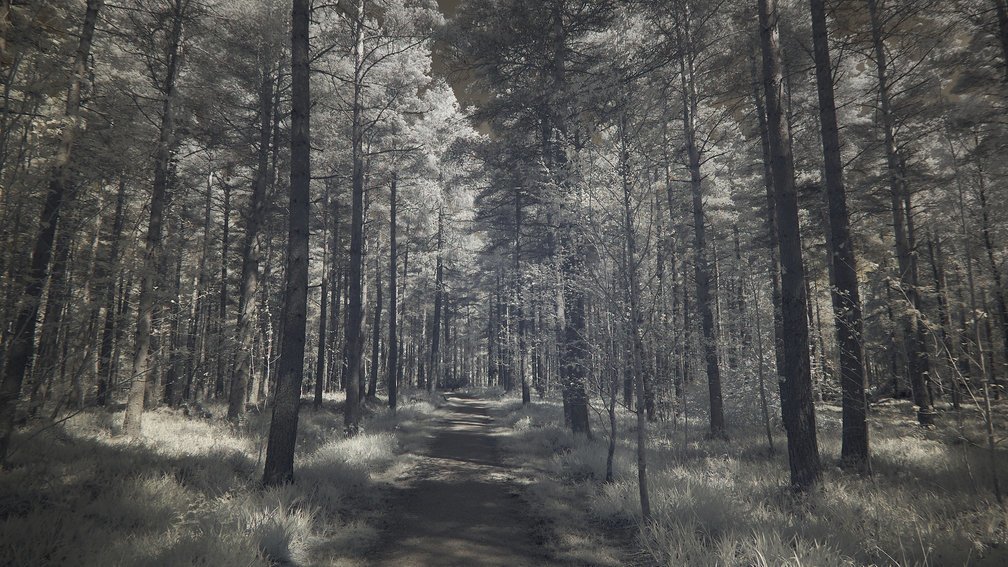 Bennachie, Scotland 2