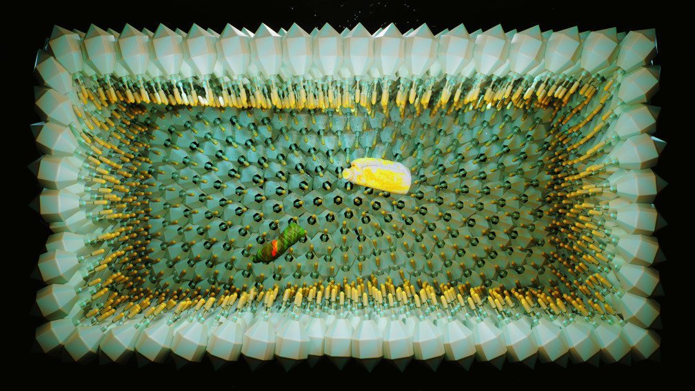 New Species (White Powder Stain & The Royal Laundry Doncella)