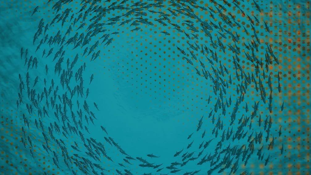 Liquid Ways of Sensing 3