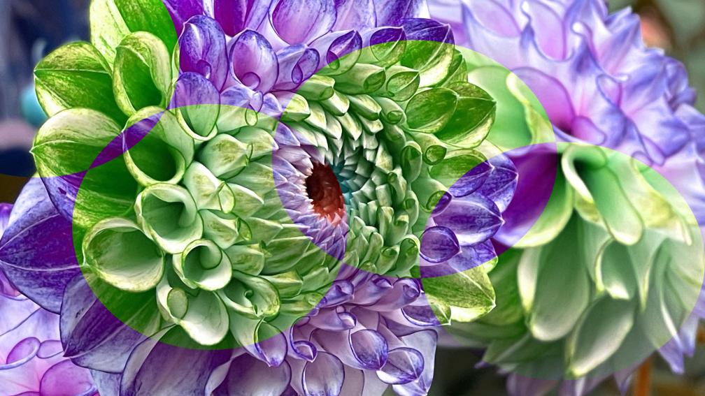 Naturalised 1 - Still