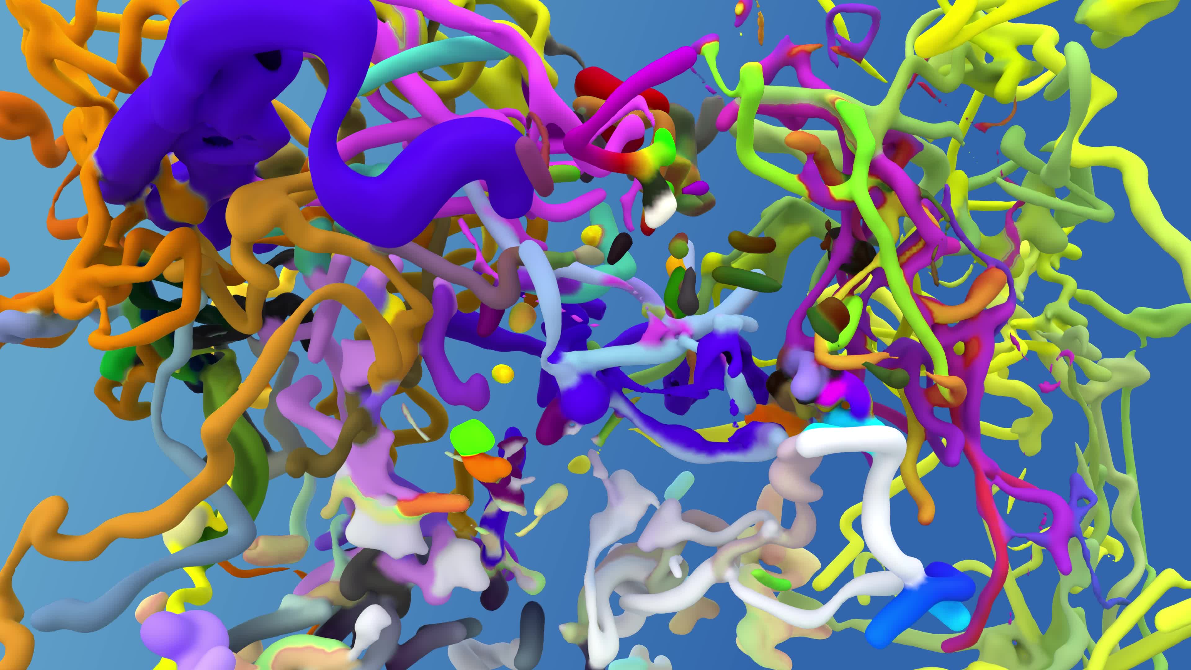 Now You See Me Now You Don't