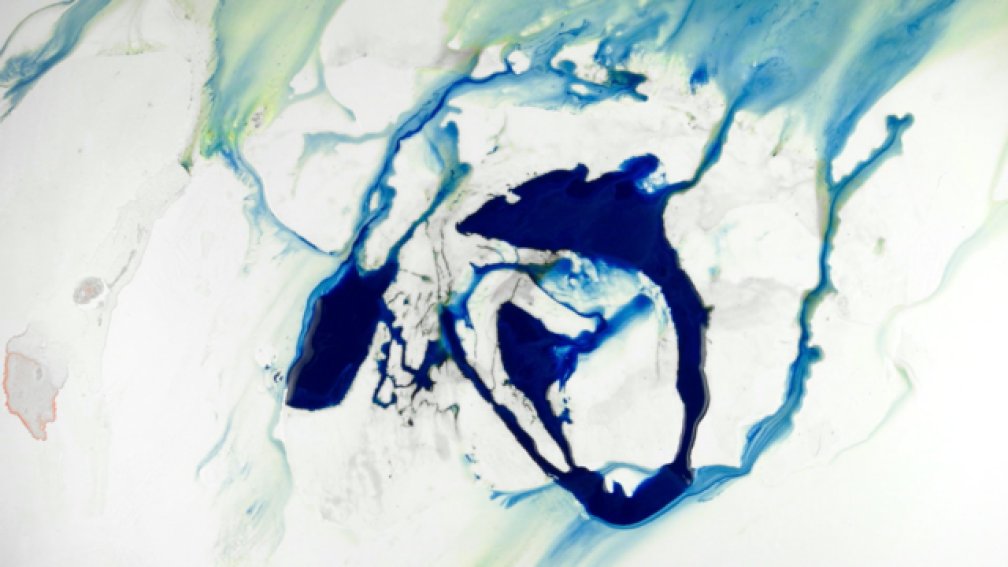 Aquatic Scores of the Sea